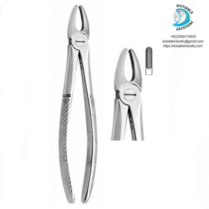 di-epuc-3314-upper-incisors-and-canines